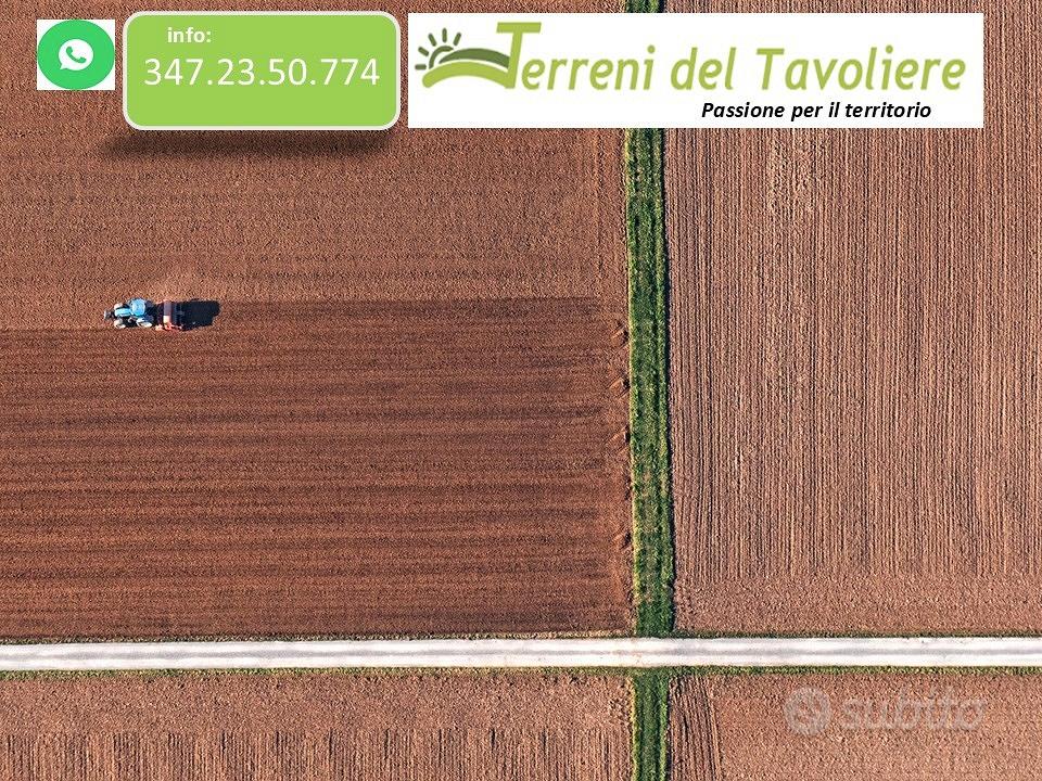 Terreno Agricolo Seminativo 5 Ettari San Severo - Vista 5