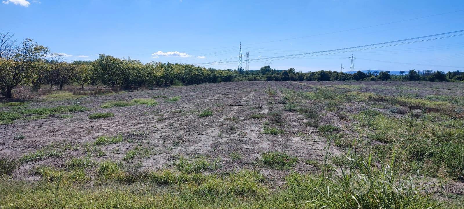 Terreno agricolo - Vista 3