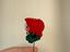 Immagine 2
