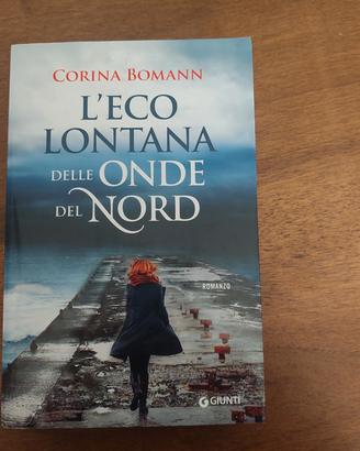 L eco lontana delle onde del nord 