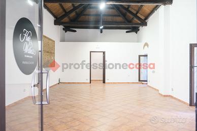 Negozio Pace del Mela [#prof506ACG]