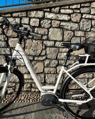E-bike da donna brinke