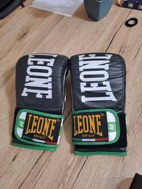 ganti da sacco leone energy M