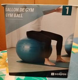 Gym Ball