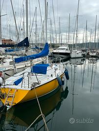 Barca a vela boxer 24