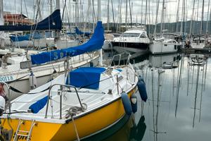 Barca a vela boxer 24