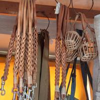 guinzagli e museruole per cani