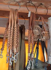 guinzagli e museruole per cani