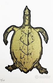 Cracking Art - S.O.S World. Testuggini a Venezia