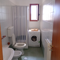 Vendita appartamento