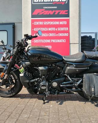 Harley-davidson Sporster S