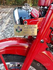 Moto Guzzi Altro modello - 1951