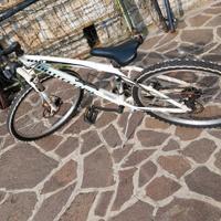   bicicletta  bottecchi