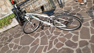   bicicletta  bottecchi