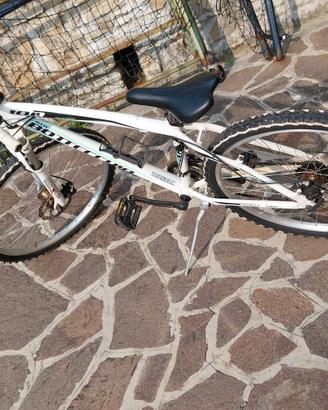   bicicletta  bottecchi