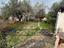 Immagine 25