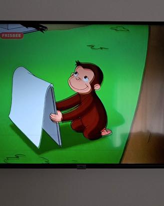 Tv tcl 55 pollici