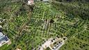ter-agricolo-a-pistoia