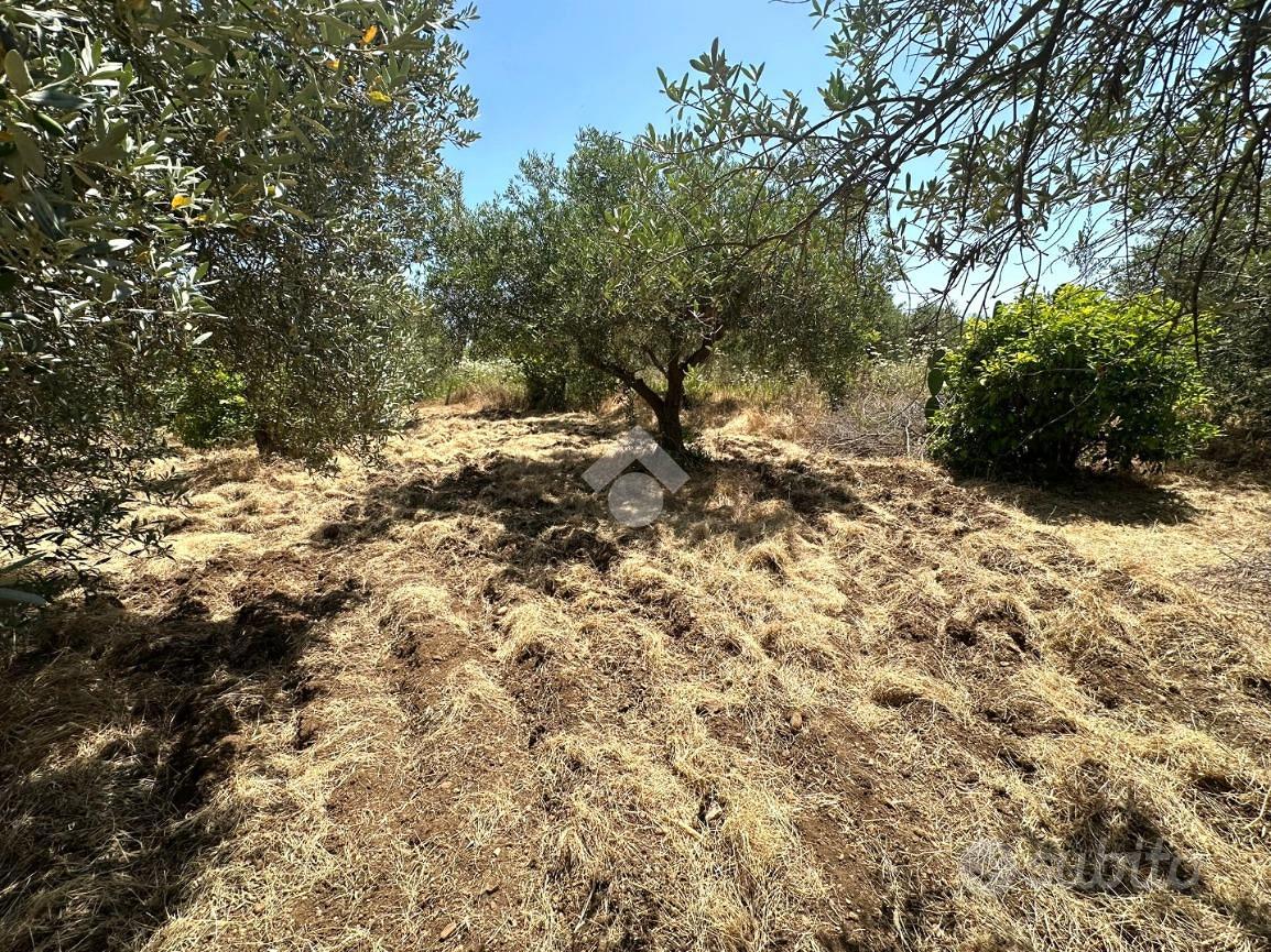 TER. AGRICOLO A CASTELDACCIA - Vista 6