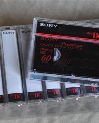 Videocassette MiniDV Sony DV-60 Premium