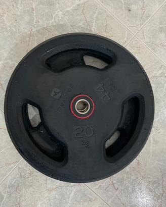 Coppia di dischi gommati da 20 kg