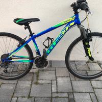 Bici mountain bike 26 pollici