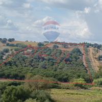 Terreno - Caltagirone