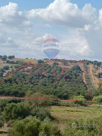 Terreno - Caltagirone