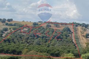 Terreno - Caltagirone