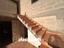 Immagine 27