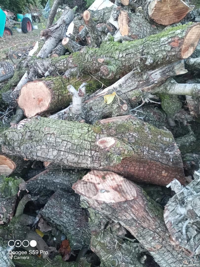 legna per camino e stufa - Giardino e Fai da te In vendita a Modena