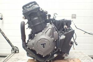 MOTORE Triumph Tiger 900 20-  11629 km