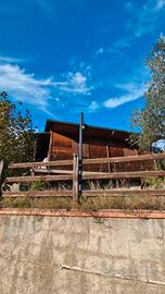 chalet c2