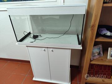 Acquario askoll l