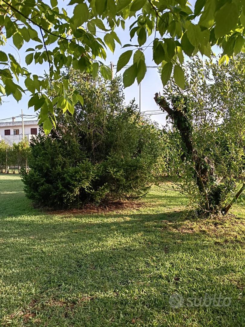Terreno edificabile - Altro