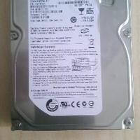 HARD DISK INTERNO 80 GB Maxtor