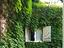Immagine 16