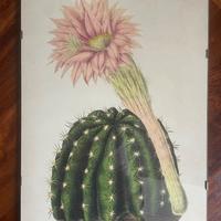 Poster vintage stile Arborea con cornice a giorno