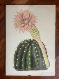 Poster vintage stile Arborea con cornice a giorno