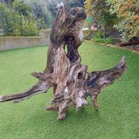 giardino complemento