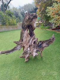 giardino complemento