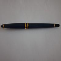 penna waterman