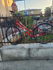 bicicletta 