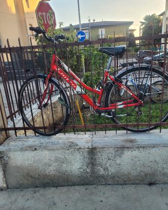 bicicletta 