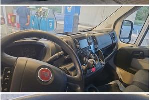 DUCATO CON GRU 2019