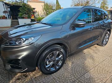 FORD Kuga 3ª serie - 2022