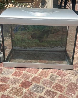Acquario Wave Poseidon Riviera 40