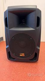 Cassa Amplificata Professionale