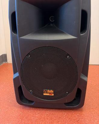 Cassa Amplificata Professionale