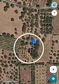 Terreno agricolo